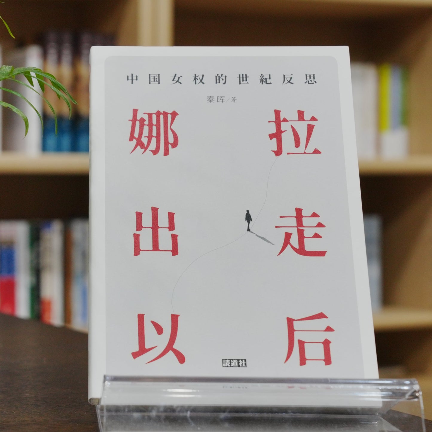 【初阶套装】拯救德先生+娜拉出走以后（签名钤印版）